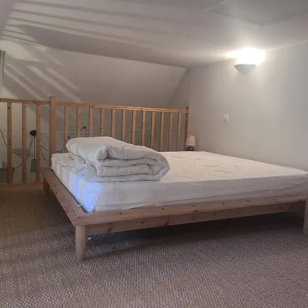 Spacieux Au Centre De Cauterets, 6 Pers., Skis Et Parking - Fr-1-812-46 Appartement *