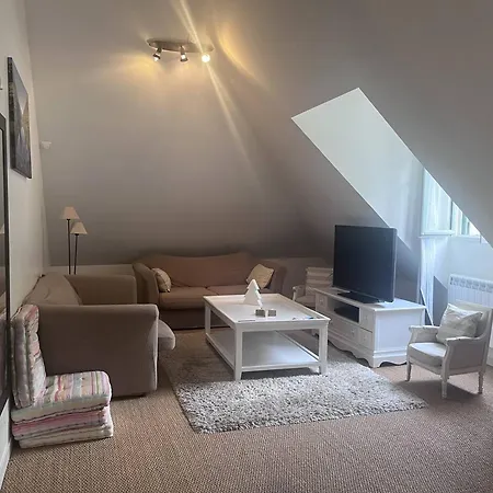 Spacieux Au Centre De Cauterets, 6 Pers., Skis Et Parking - Fr-1-812-46 Appartement